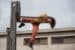 hanging_on_reduced