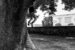 hanging_on_reduced
