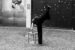 hanging_on_reduced