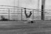 hanging_on_reduced