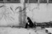 hanging_on_reduced